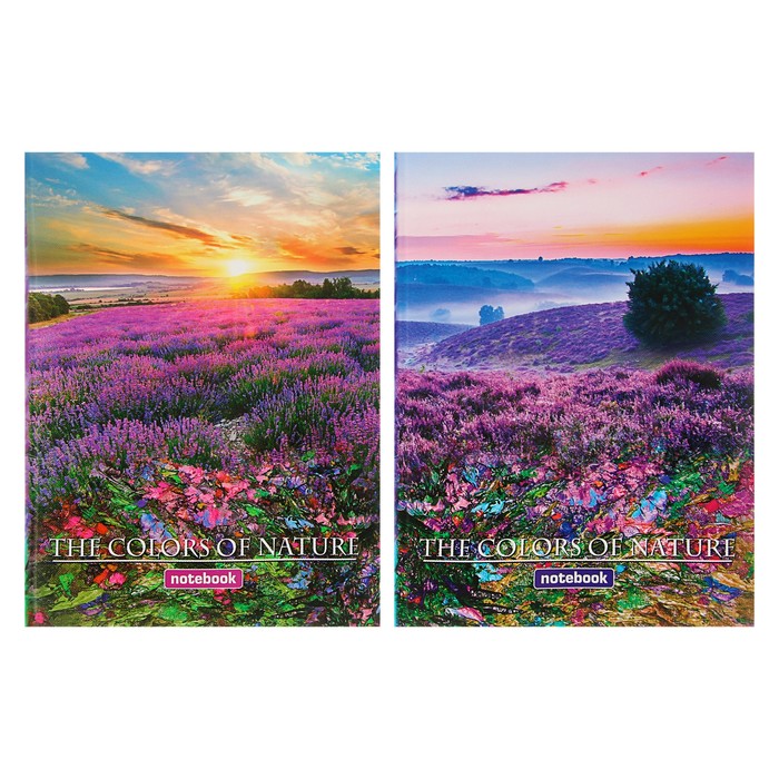Бизнес-блокнот А5, 64 листа "Краски природы", твёрдая обложка, матовая ламинация, выборочный лак, микс