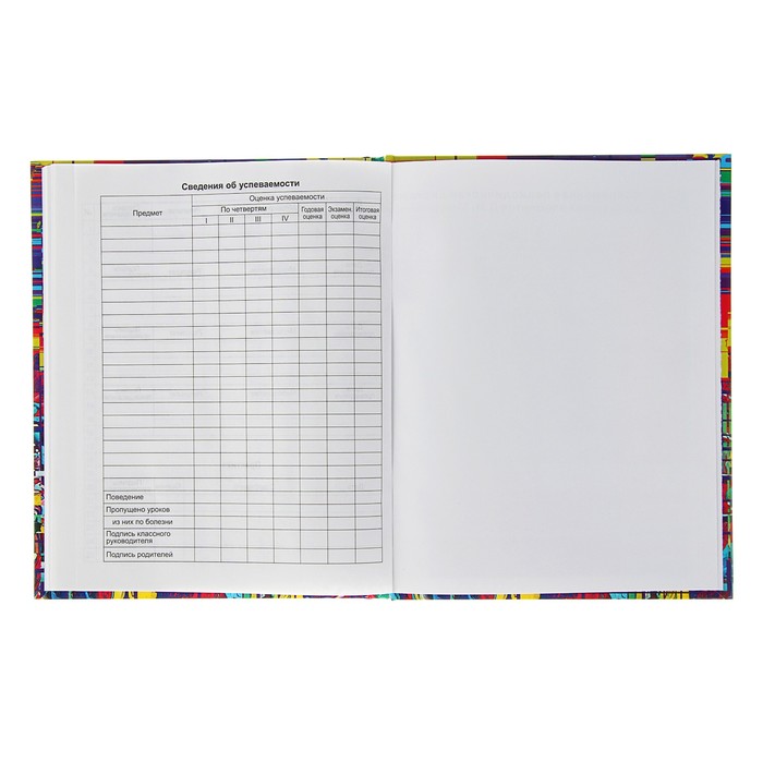 Дневник для 5-11 класса Glitch effect, твёрдая обложка, глянцевая ламинация, 48 листов