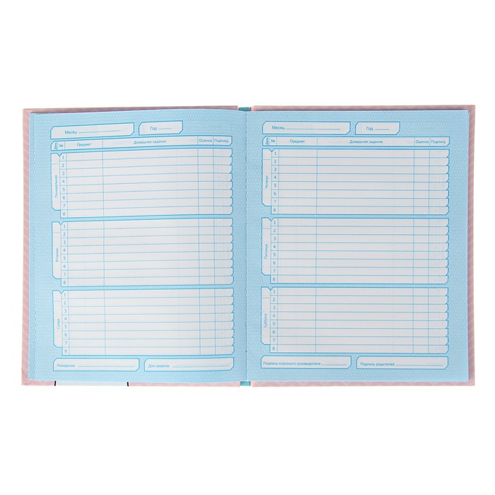 Дневник для 5-11 класса "Котик", твёрдая обложка, глянцевая ламинация, 48 листов