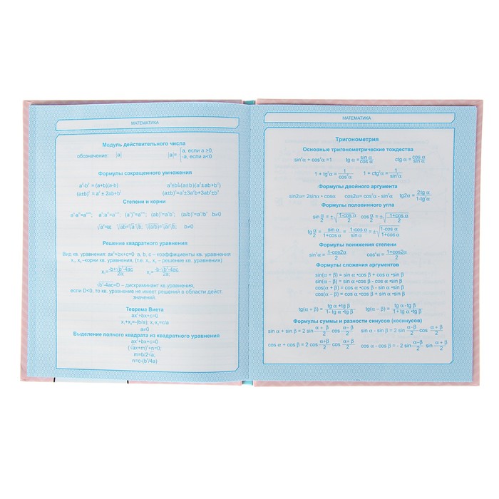 Дневник для 5-11 класса "Котик", твёрдая обложка, глянцевая ламинация, 48 листов