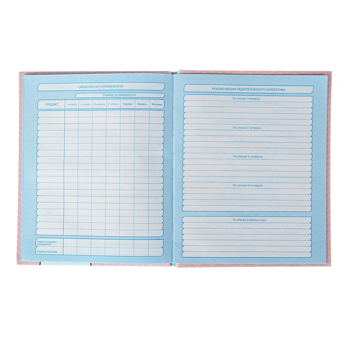 Дневник для 5-11 класса "Котик", твёрдая обложка, глянцевая ламинация, 48 листов