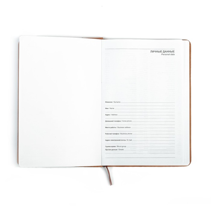 Ежедневник недат А5 120л кл,карта на форзаце,ляссе,обл пвх под нубук Новый Стиль