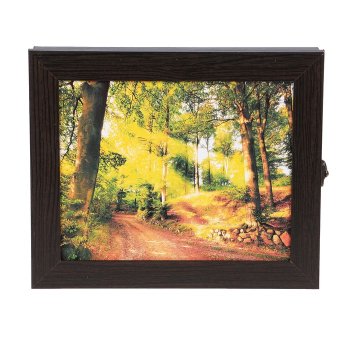 Ключница  "Лесная тропинка" венге 25х30х5 см
