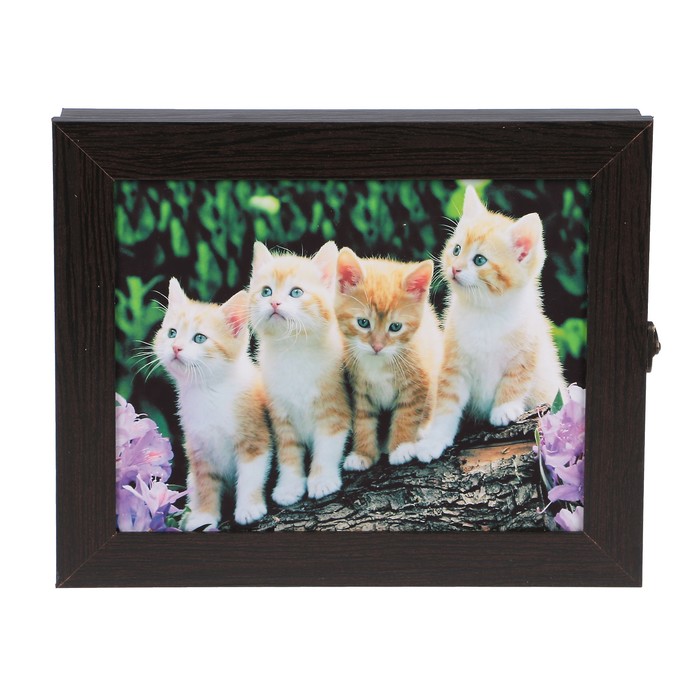 Ключница "Рыжики" венге 25х30х5 см