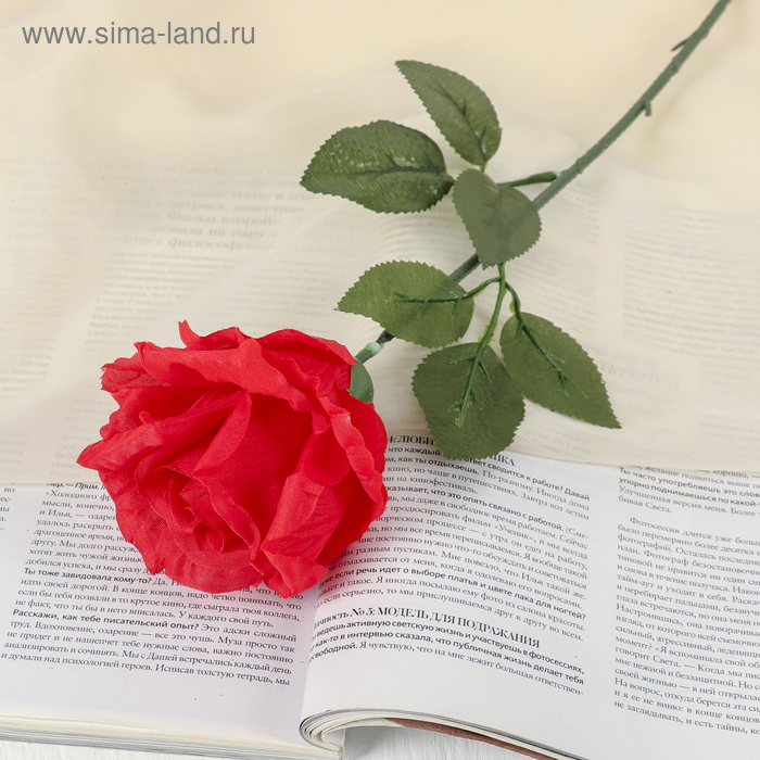 цена Цветы искусственные Роза французская 8*40 см красная