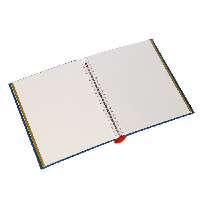 Фотоальбом магнитный 30 листов Image Art серия 26 23х28 см