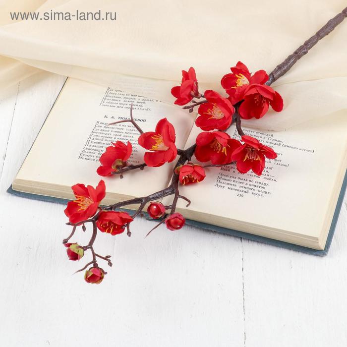 Цветы искусственные Ветка сакуры 3х60 см, красный