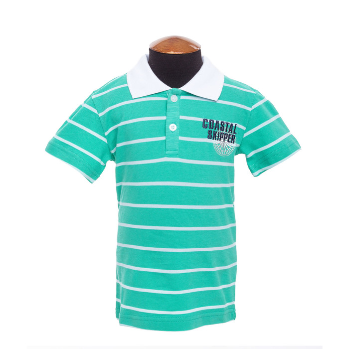 Футболка-поло для мальчика, рост 110 см, цвет зелёный DS0074/15