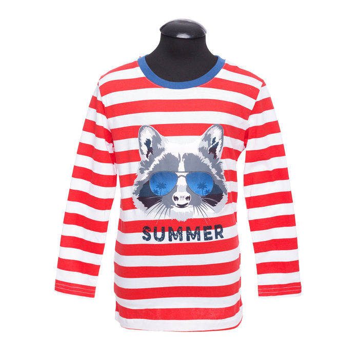 Футболка для мальчика, рост 116 см, цвет красный DS0078/2