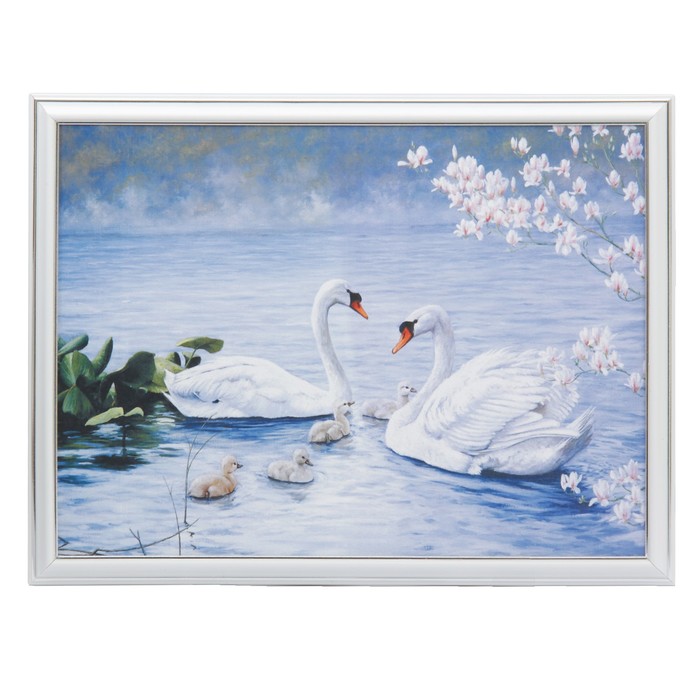 Картина "Белые лебеди" 33*43 см