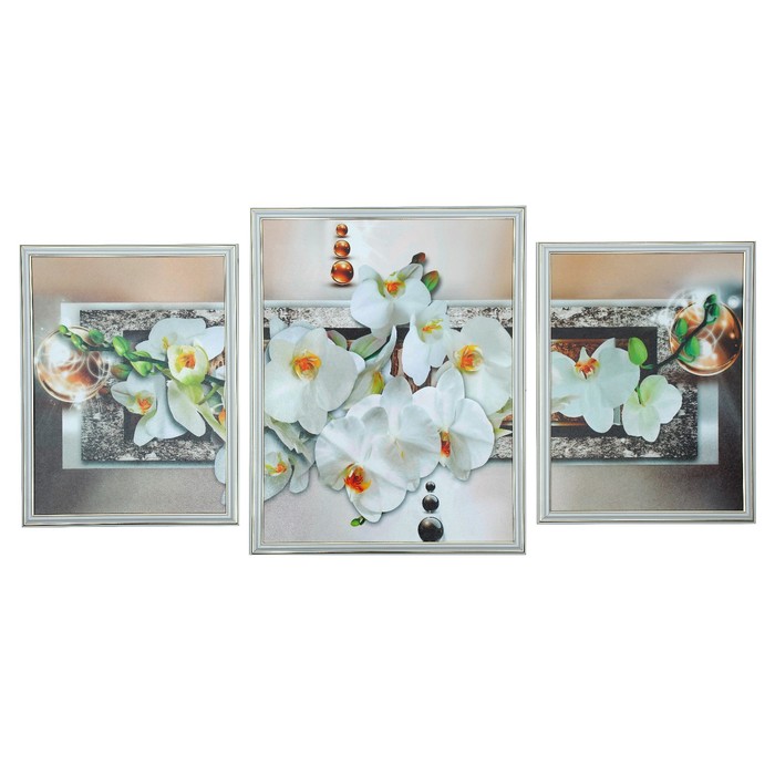 Модульная картина "Белая орхидея" 2-30*40, 39*50,   50*70 см