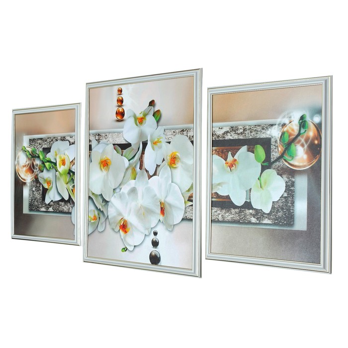 Модульная картина "Белая орхидея" 2-30*40, 39*50, 50*70 см