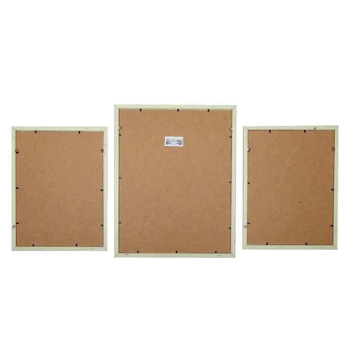 Модульная картина "Белая орхидея" 2-30*40, 39*50, 50*70 см