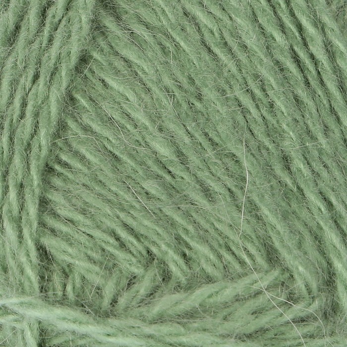 Пряжа "Нежность" 60% акрил, 40% козий пух 230м/100гр (Фисташка)
