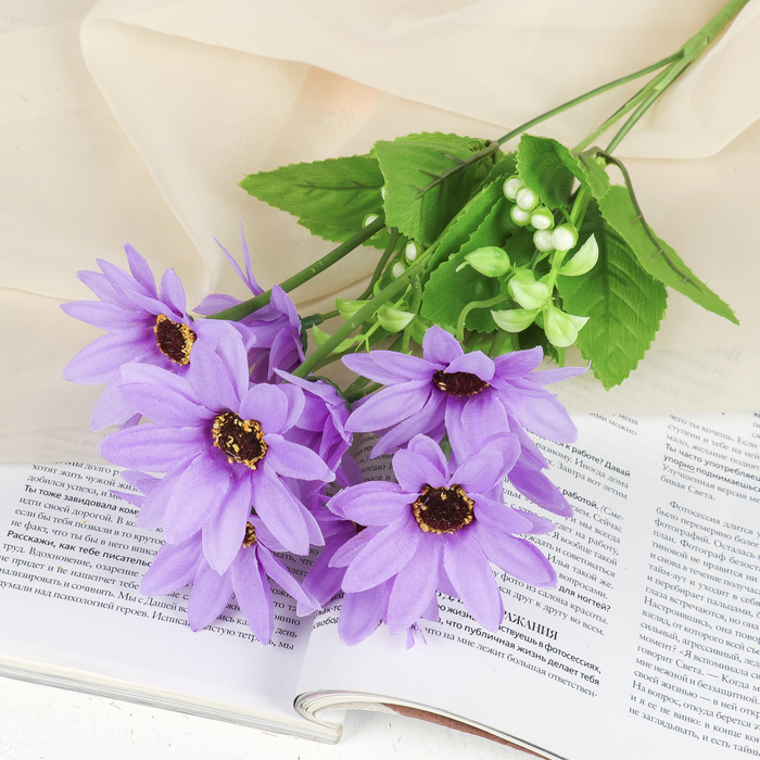 Букет "Арктотис" 35 см, микс