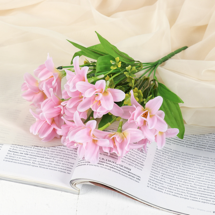 Букет "Уотсония" 30 см, микс