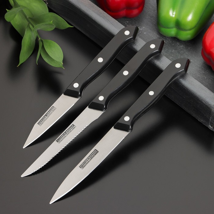 Набор кухонных ножей «Кулинарные изыски», 3 предмета, лезвие 8 см, 11 см, 11 см, цвет чёрный
