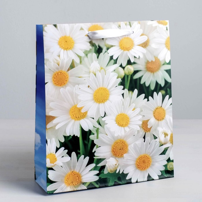 Пакет ламинированный вертикальный «Ромашки полевые», ML 23 × 27 × 8 см