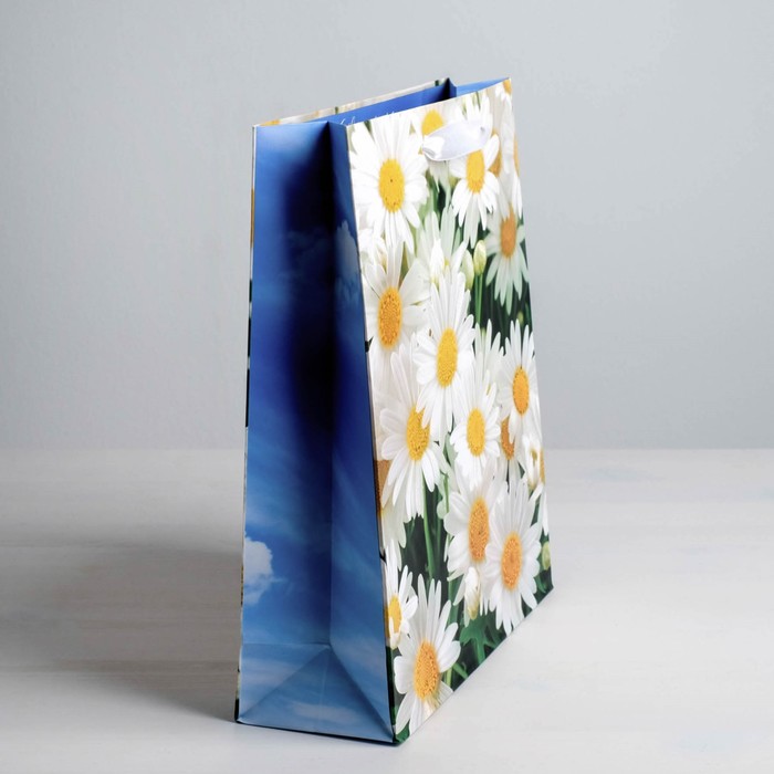 Пакет ламинированный вертикальный «Ромашки полевые», ML 23 × 27 × 8 см