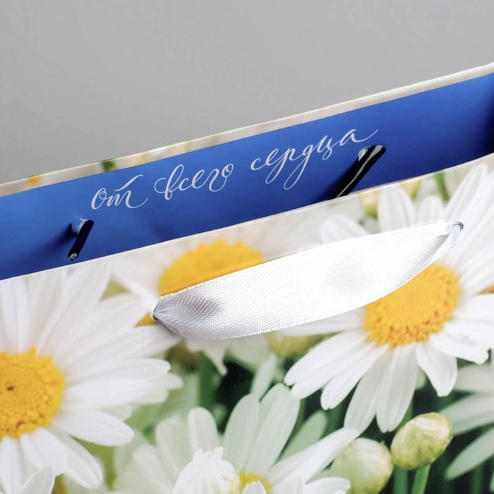 Пакет ламинированный вертикальный «Ромашки полевые», ML 23 × 27 × 8 см