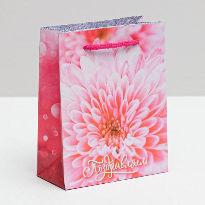 Пакет ламинированный вертикальный «Поздравляем», S 11 × 14 × 5 см