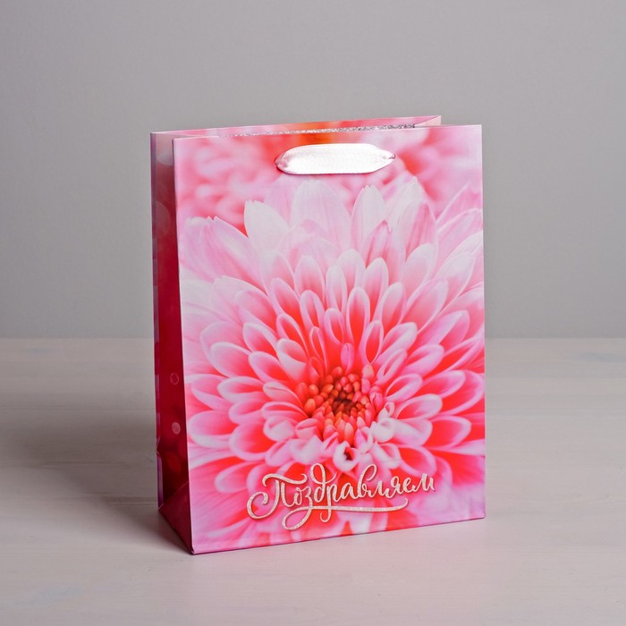 Пакет ламинированный вертикальный «Поздравляем», MS 18 × 23 × 8 см