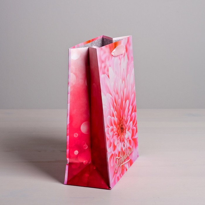 Пакет ламинированный вертикальный «Поздравляем», MS 18 × 23 × 8 см