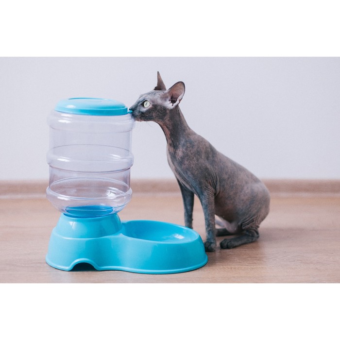 Автокормушка со съемной крышкой, контейнер 3,5 л, микс цветов