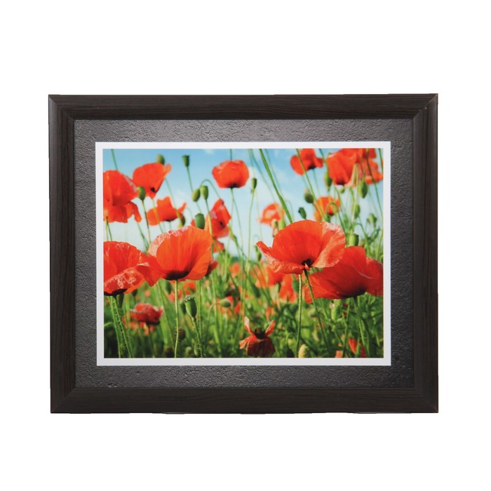 Картина "Маки" 55х45см, МДФ