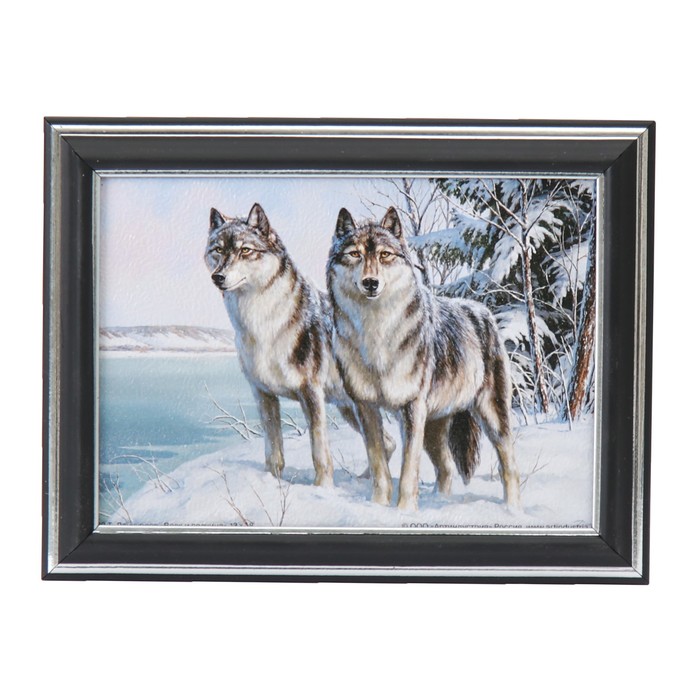Картина "Красивые волки" 21*16 см