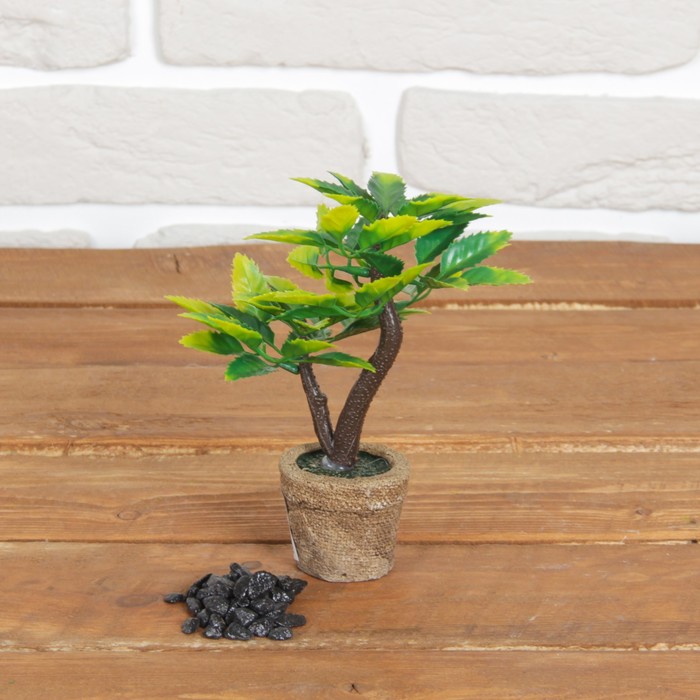 Бонсай в горшке "Листочки" 5*15 см