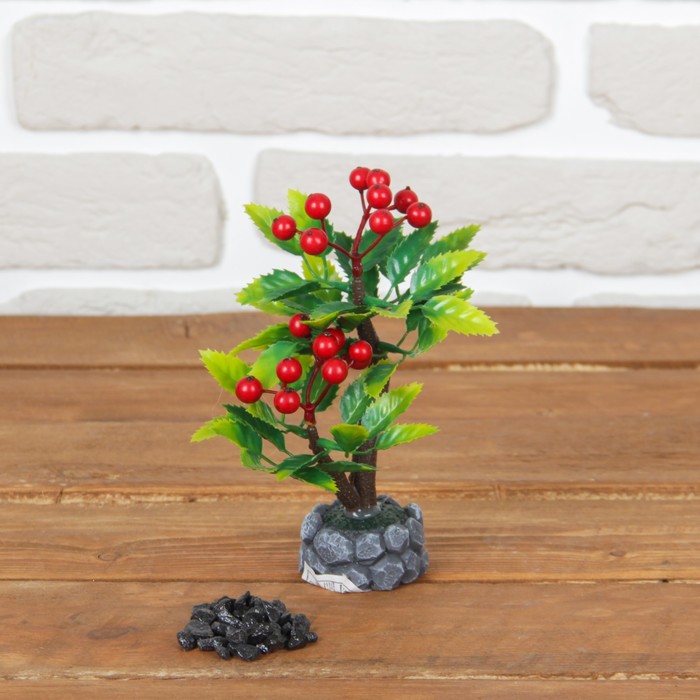 Бонсай "Ягодки на камне" 5*16 см, микс