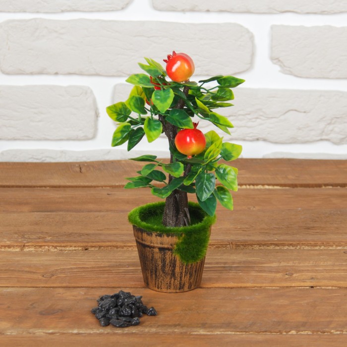 Бонсай в горшке "Плоды на деревце" 10*19 см, микс