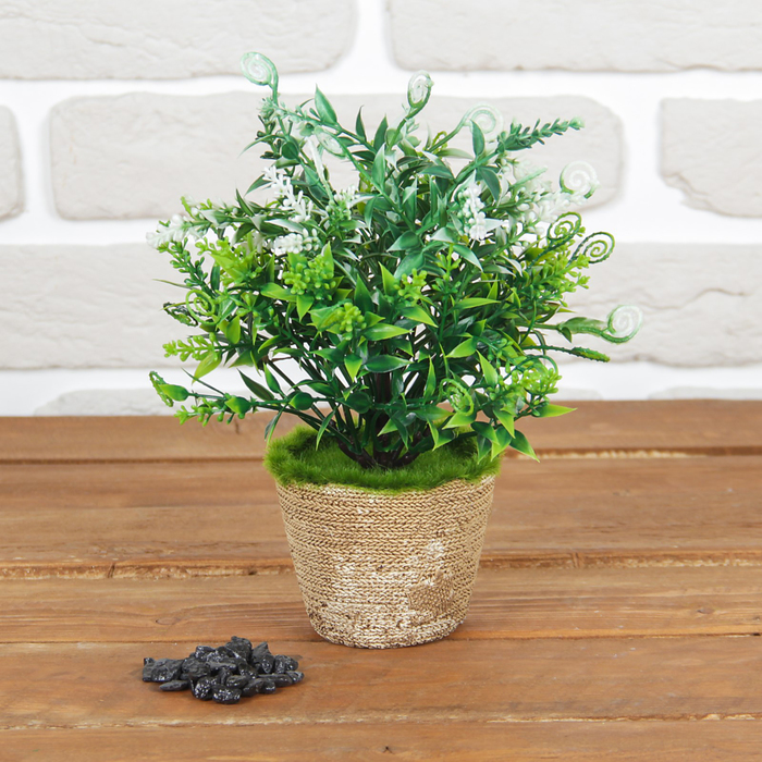 Бонсай в горшке "Завитки" 13*20 см, микс