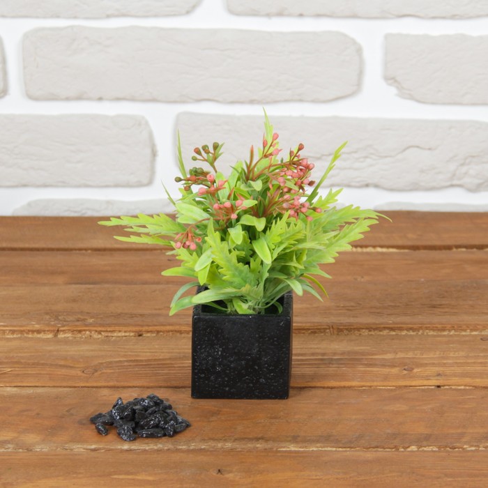 Бонсай в горшке "Лиственное ассорти" 8*17 см, микс