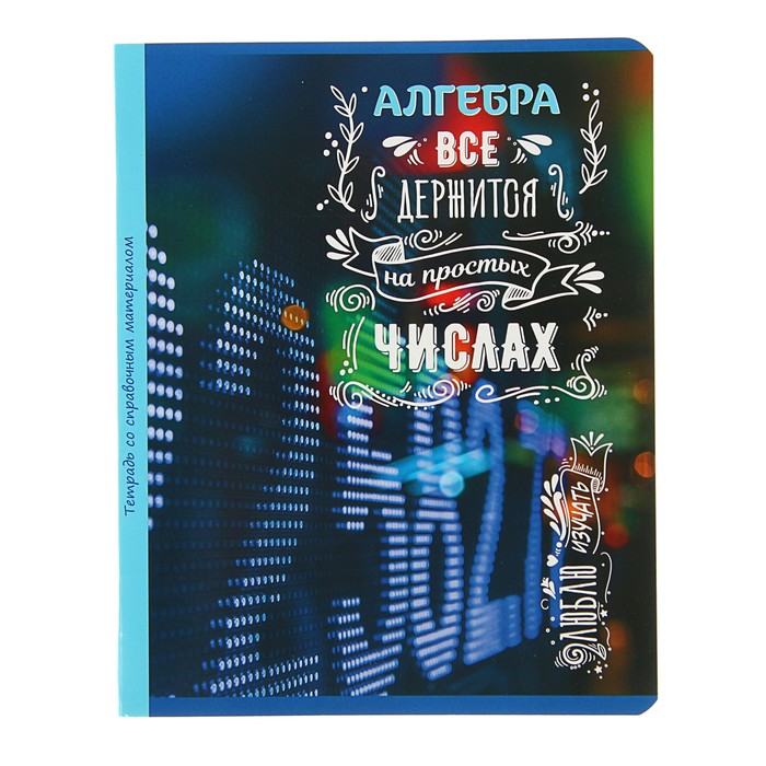 Тетрадь 48 листов клетка "Люблю изучать! - алгебра", обложка мелованный картон, со справочным материалом