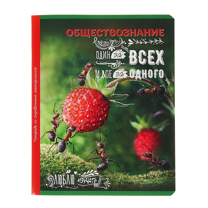 Тетрадь 48 листов клетка "Люблю изучать! - обществознание", обложка мелованный картон, со справочным материалом