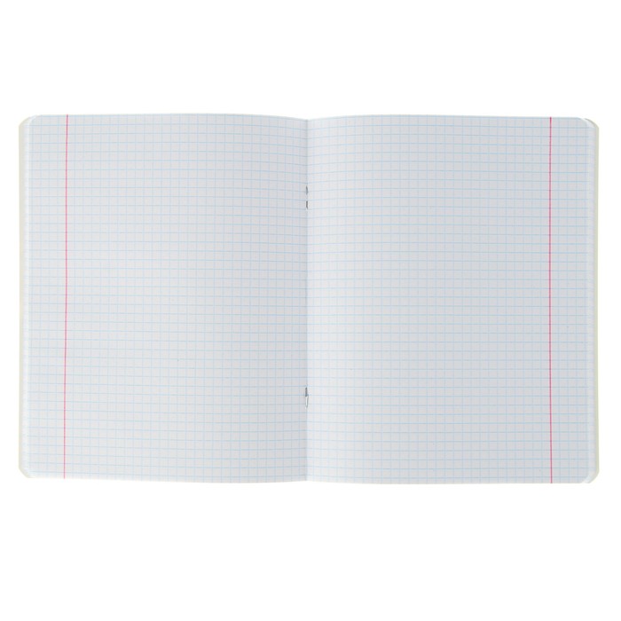 Тетрадь 48 листов клетка "Люблю изучать! - обществознание", обложка мелованный картон, со справочным материалом