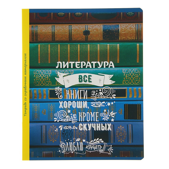 Тетрадь 48 листов линейка "Люблю изучать! - литература", обложка мелованный картон, со справочным материалом