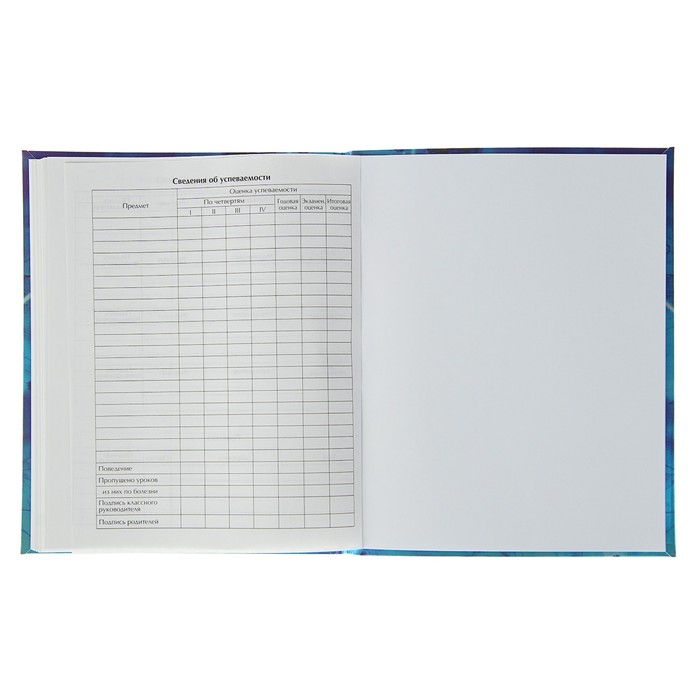 Дневник для 1-11 класса, интегральная обложка Magic butterfly, матовая ламинация, метализированный, 48 листов