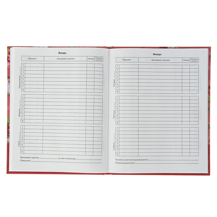 Дневник для 1-11 класса, твёрдая обложка Pink dream, матовая ламинация, тиснение, 48 листов