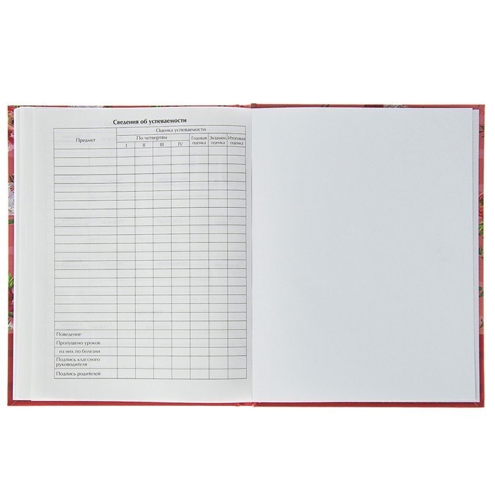 Дневник для 1-11 класса, твёрдая обложка Pink dream, матовая ламинация, тиснение, 48 листов