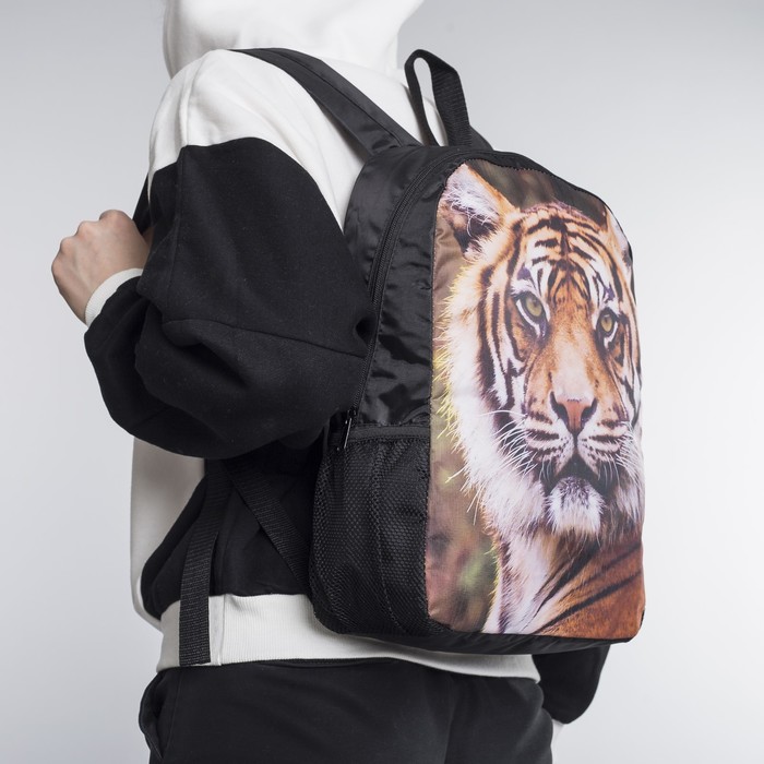 Ранец молодёжный "Тигр", отдел на молнии, 2 наружных кармана