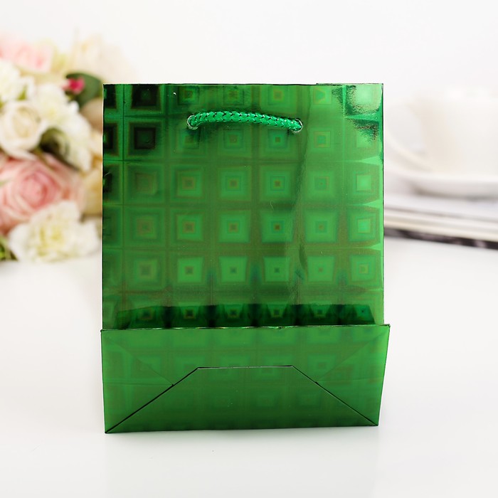 Пакет голография 12 х 15 х 6 см, цвет зеленый, рисунок МИКС