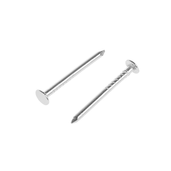 Гвоздь толевый TUNDRA krep, 2.5х32 мм, оцинкованный, в упаковке 20 шт.