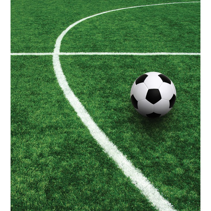 Фотопанно горизонтальное «На поле», размер 150x200 см