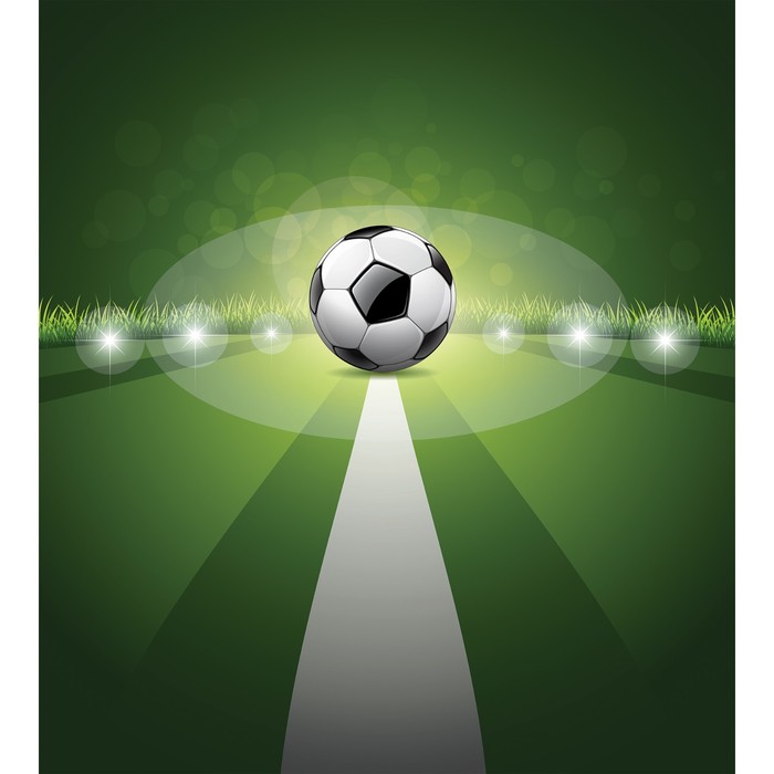 Фотопанно горизонтальное «В центре игры», размер 150x200 см