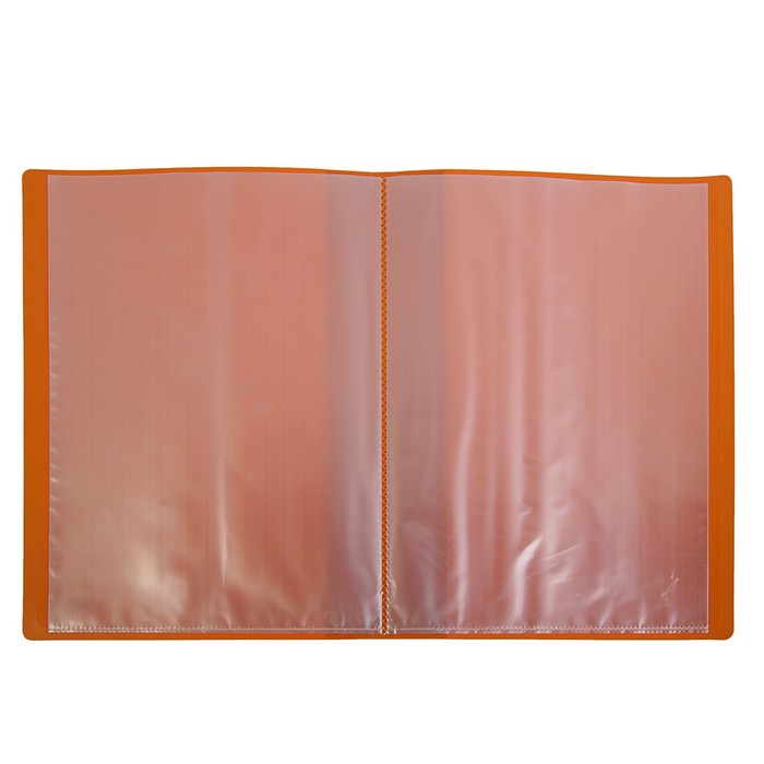 Папка А4 Proff. Next, 20 прозрачных вкладышей, 0.6 мм