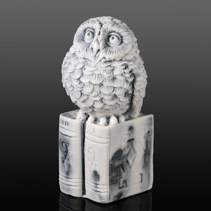 Сувенир "Совенок на книгах" 8 см