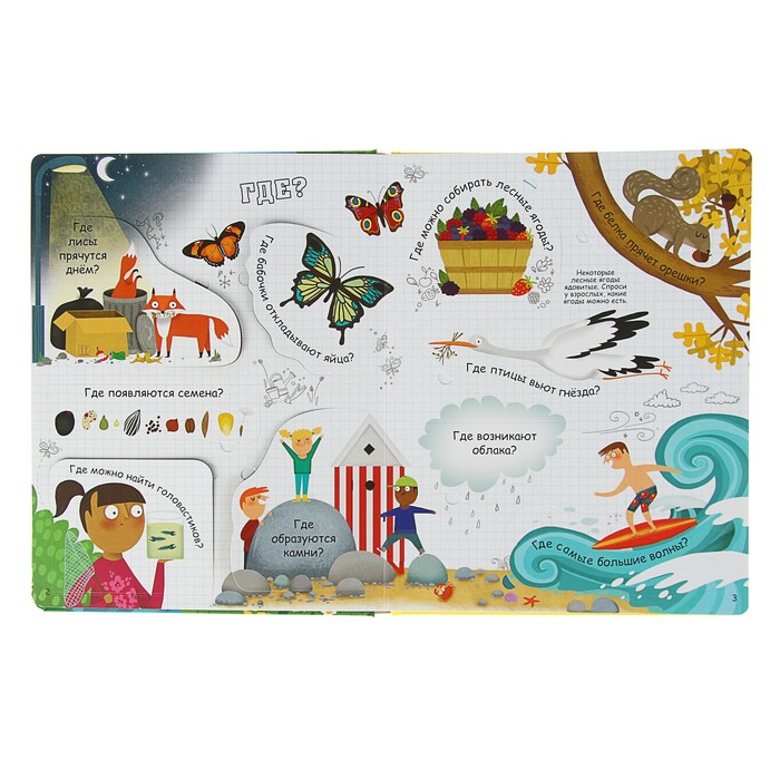 Вопросы и ответы о природе